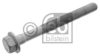 DAF 1243062 Screw